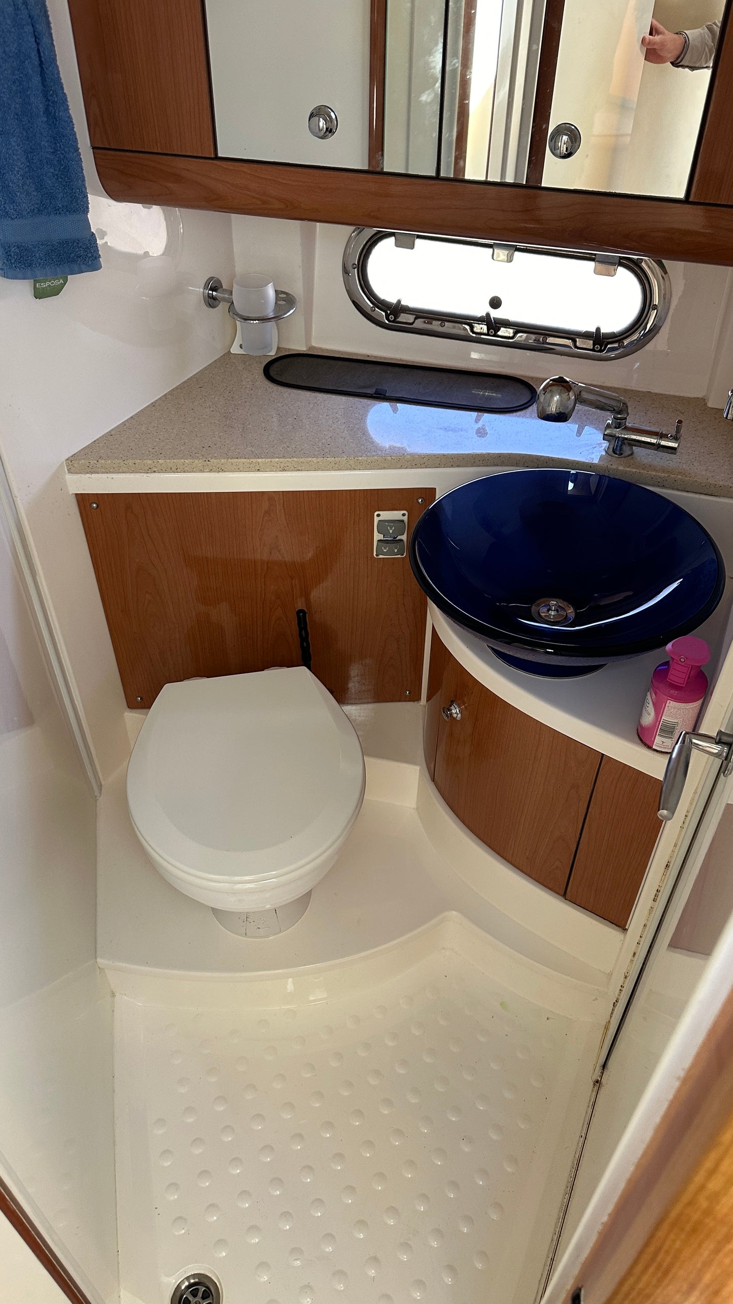 Sealine SC39 Motorboot Motoryacht Yacht Boot